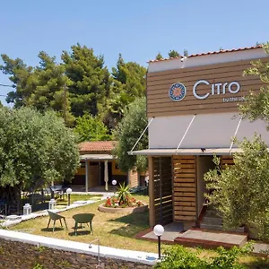 Πανσιόν Citro By The Sea, Μεταμόρφωση